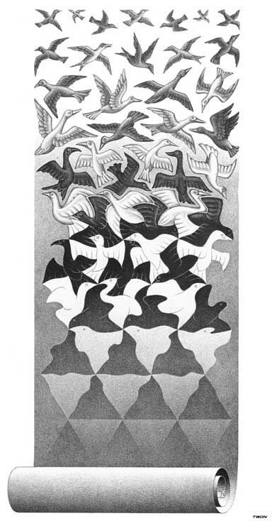 a drawing of birds flying in the sky