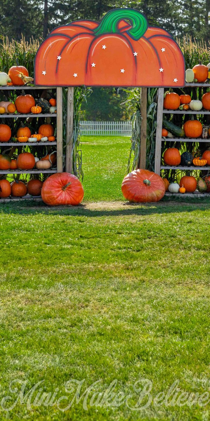 pumpkins and gourds are stacked on the back of a wooden stand in a field