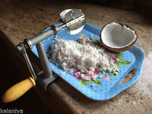 a blue plate topped with rice next to a coconut