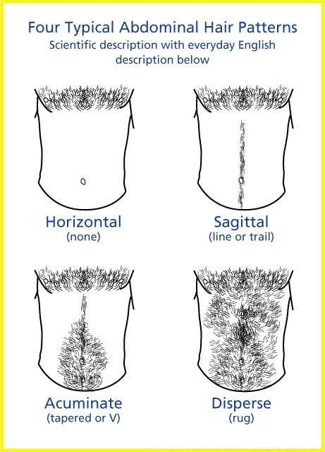 four typical abnormal hair patterns for different types of hair