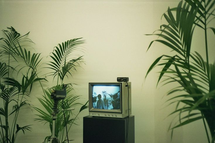 an old tv sitting on top of a black stand in front of potted plants