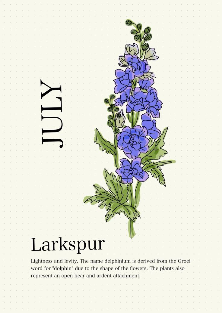 a blue flower with green leaves on it and the words larkspur written below