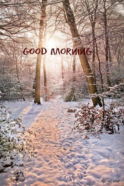 the words good morning are written over a snowy path in front of snow covered trees