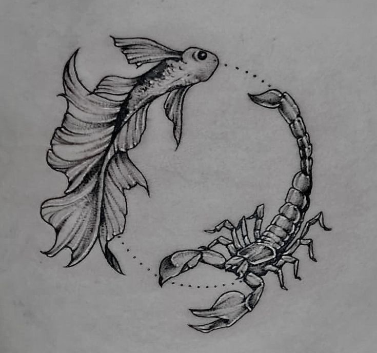 a drawing of a scorpion and fish in the shape of a circle