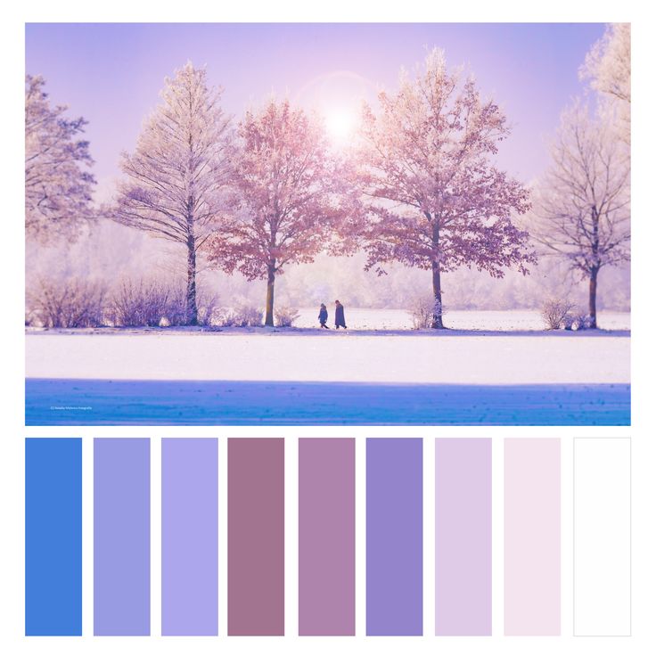 the color palette is purple and blue, with trees in the background that are snow - covered