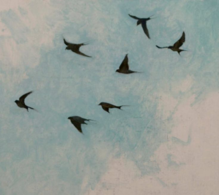 a flock of birds flying in the sky