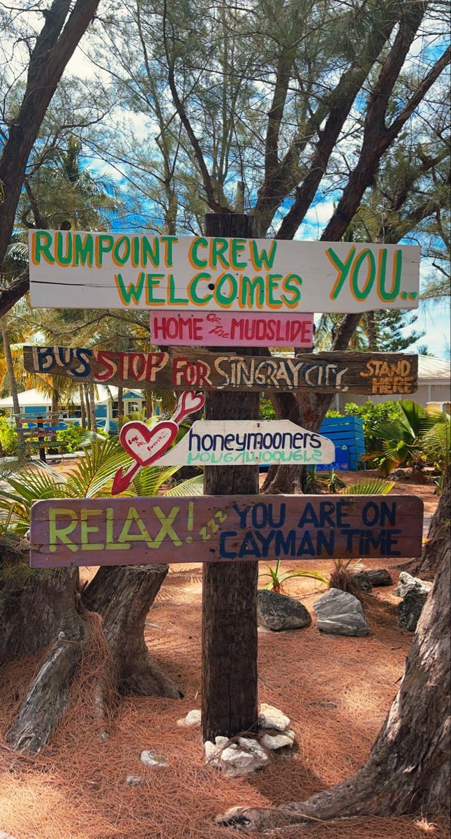 a bunch of signs that are on the side of a tree in front of some trees