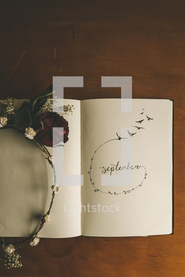 an open book with flowers and birds drawn on the pages, sitting on top of a wooden table