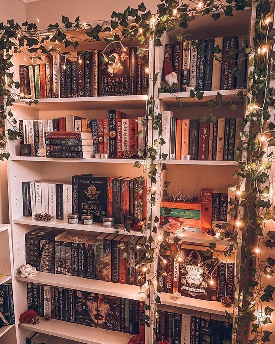 a bookshelf filled with lots of books next to a christmas tree covered in lights