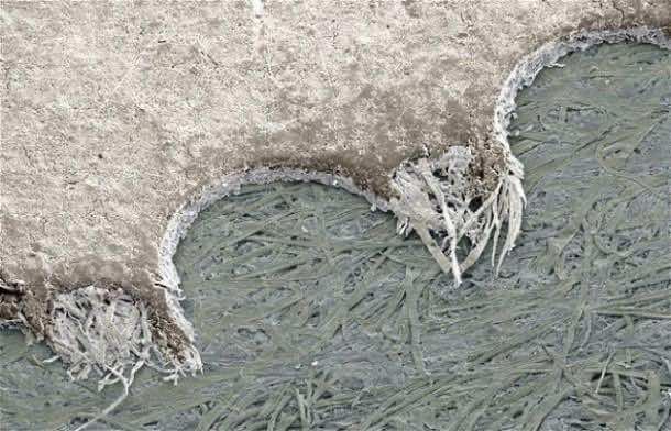 an image of some ice on the ground and grass in the water that is frozen