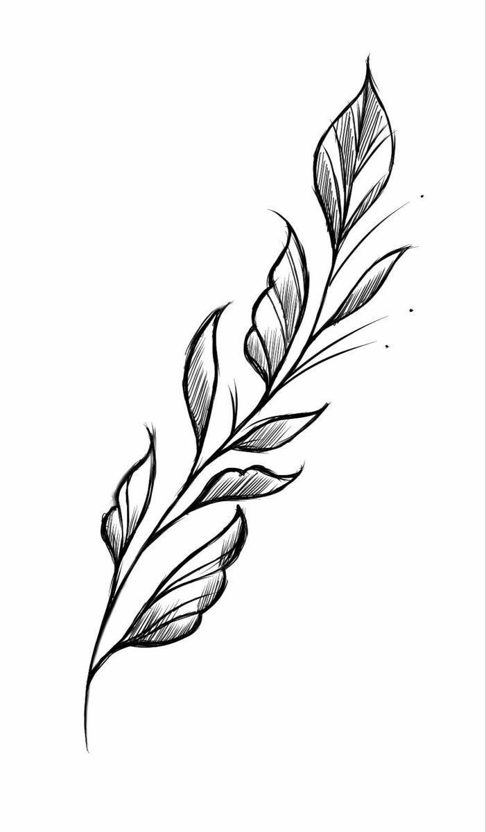 a black and white drawing of a branch with leaves on the end, in ink