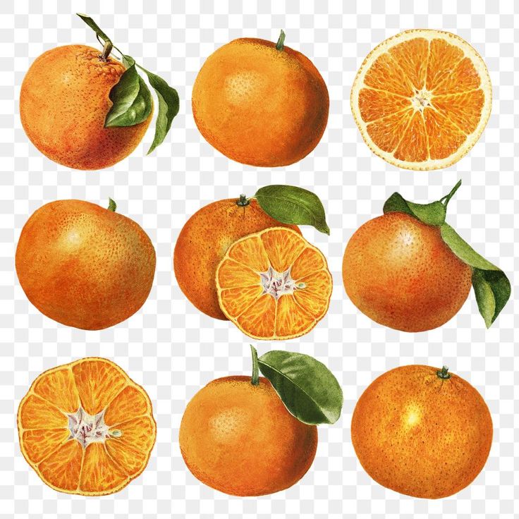 several oranges with leaves and slices cut in half on a transparent background png