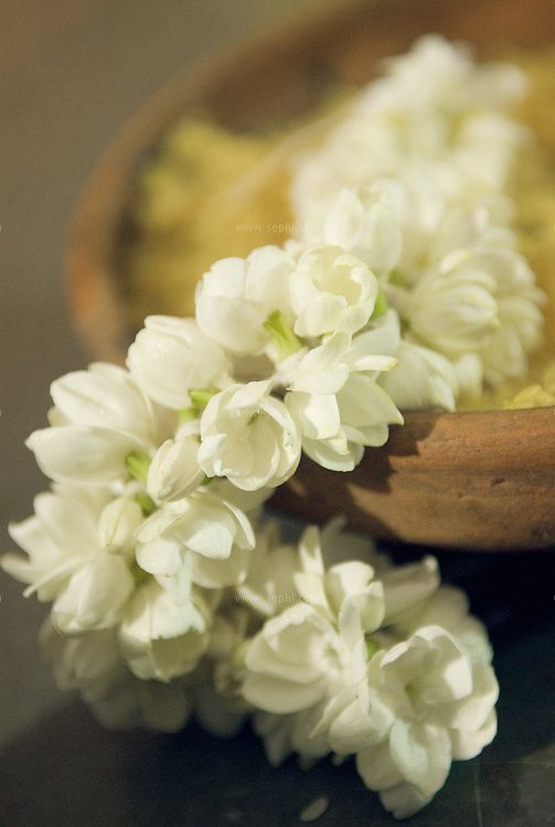 some white flowers are in a wooden bowl