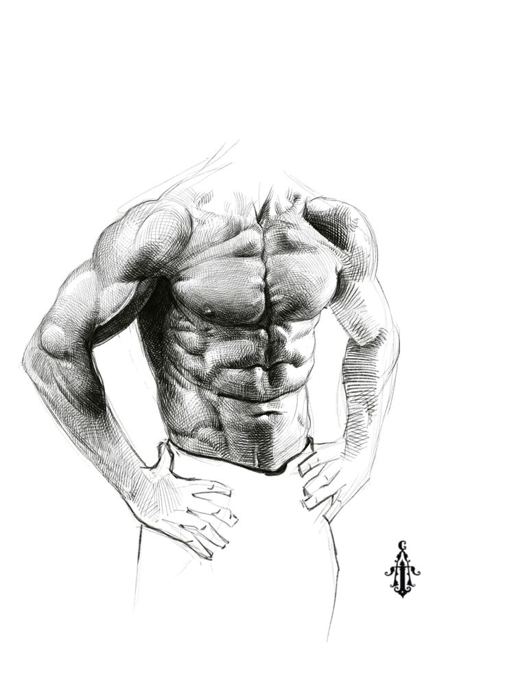 a pencil drawing of a man's back with his hands on his hips and one hand on his hip