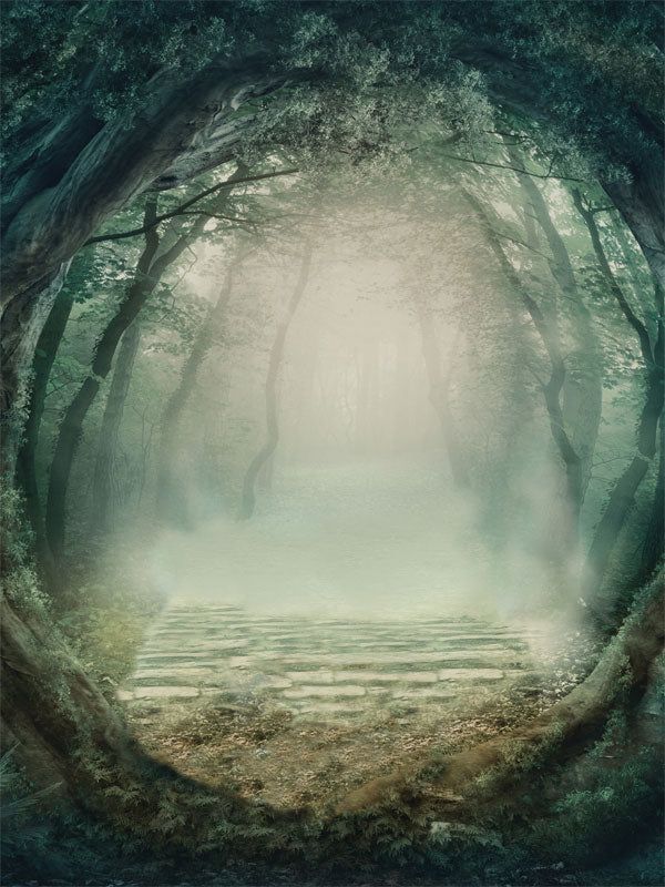 Mystical Forest Path Photography Backdrop - Mystical forest path photography backdrop with fog-covered stone pathway and natural tree arch Background For Photoshoot, Path Photography, Fairy Background, Fairy Woodland, Enchanted Woodland, Themed Photography, Printed Photo, Forest Background, Storytelling Photography