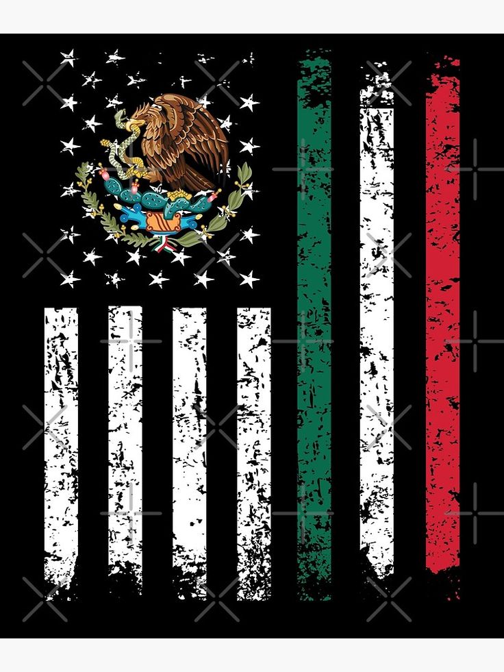 the mexican american flag with grungy stripes and an eagle on it's side