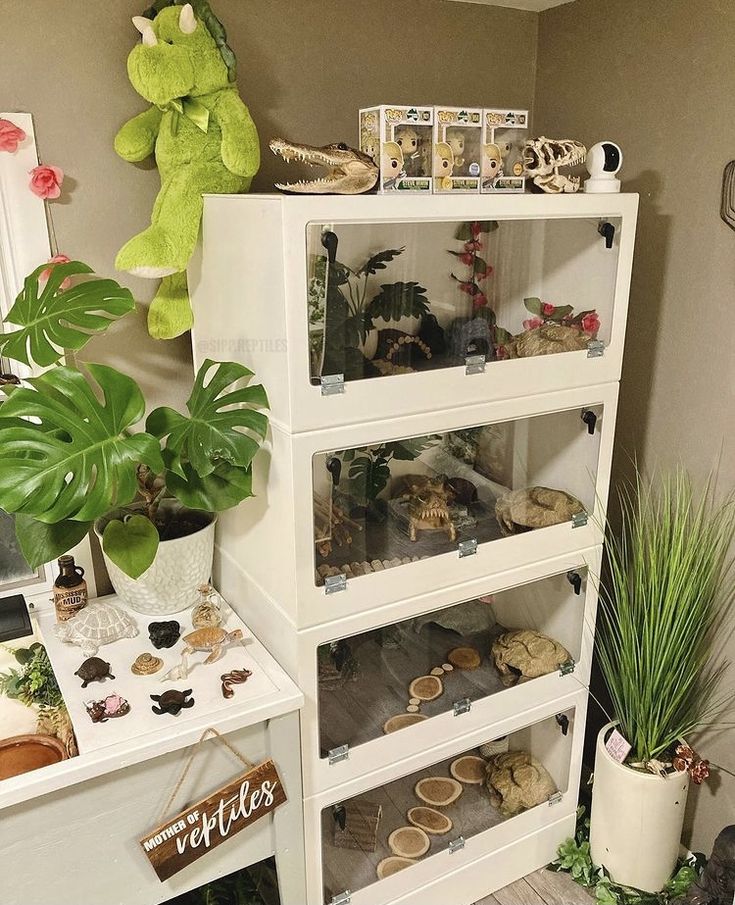 a white shelf filled with lots of toys and plants