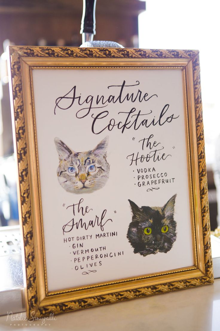 a sign with pictures of cats on it in front of a window that says,'anquature coffinalis the hoboise '