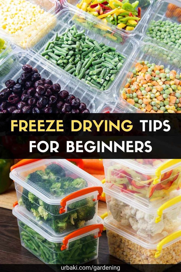 freeze drying tips for beginners