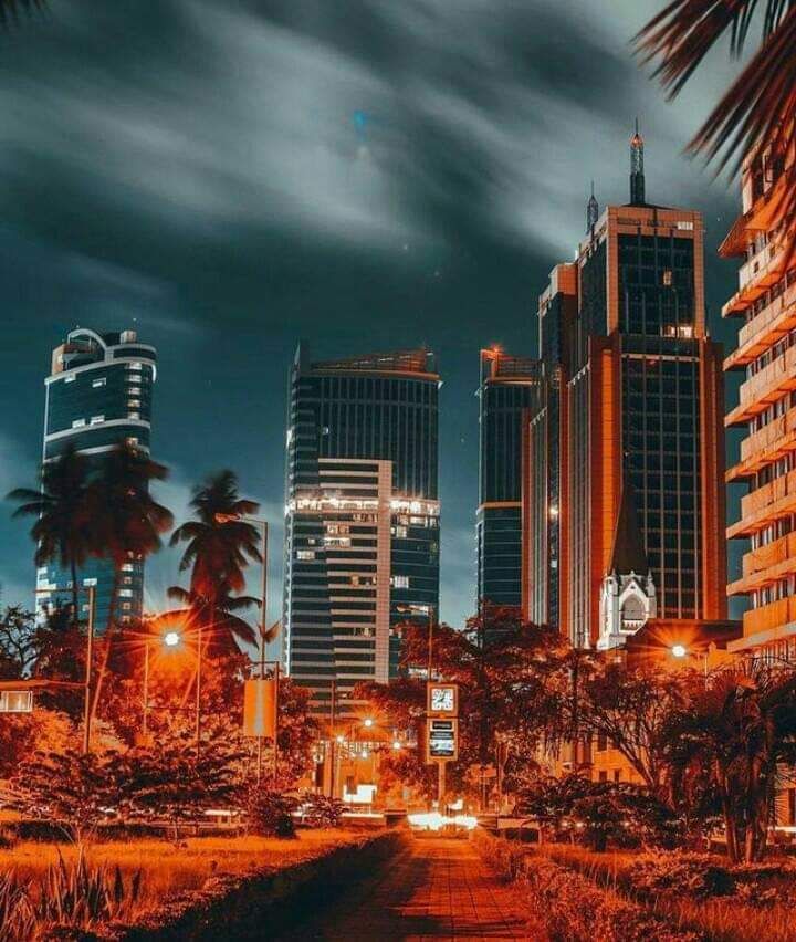 the city is lit up at night with palm trees and tall buildings in the background