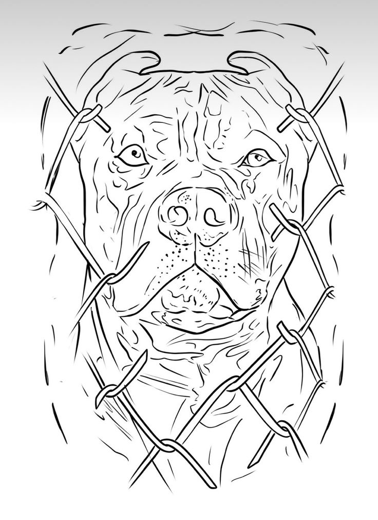 a black and white drawing of a dog's face with barbed wire around it