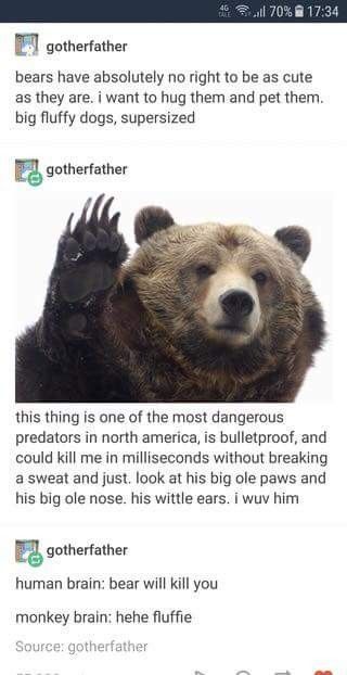 the bear is standing up with his paw on it's head and has two other words written in front of him