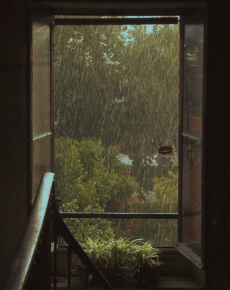 an open window with rain falling down on the trees and plants in front of it