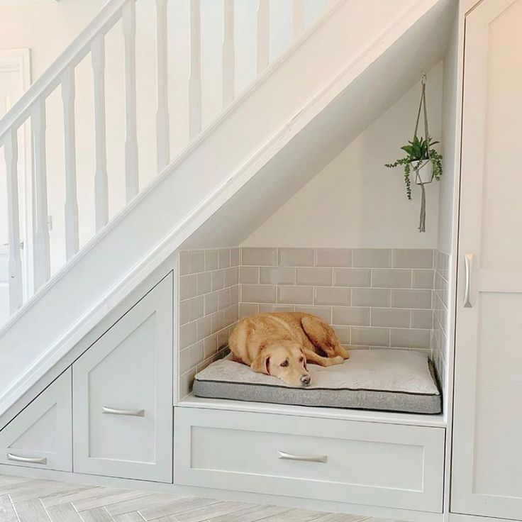 a dog laying on its bed under the stairs in a house with white walls and flooring