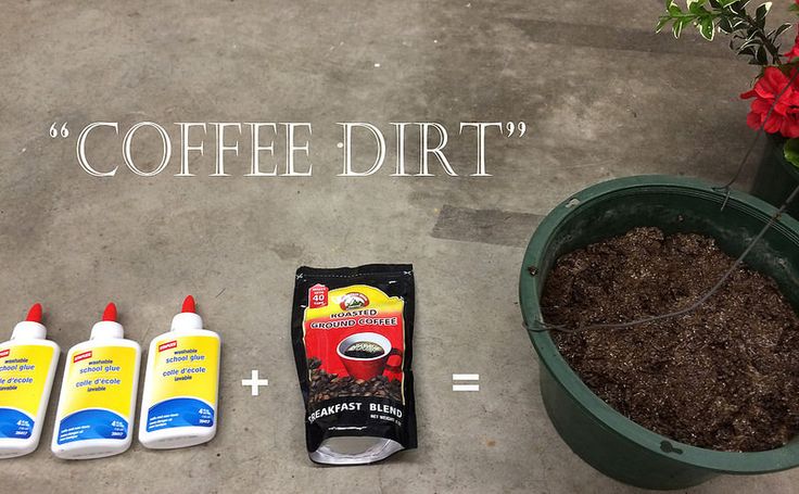 the coffee dirt is next to three bottles of coffee and a potted plant with red flowers