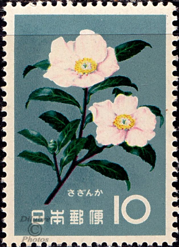 a stamp with two pink flowers on it's front and the words 10 written in japanese