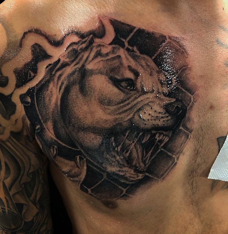 a man's chest with a tattoo of a lion on it and his head in the cage