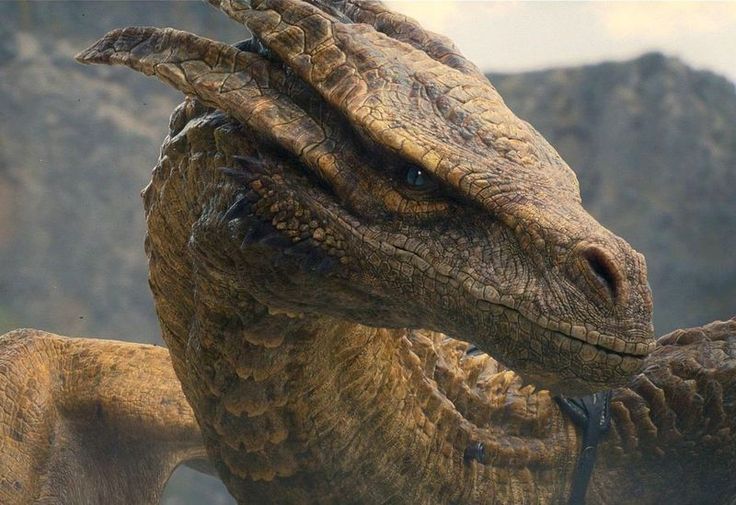 a close up of a dragon with its mouth open