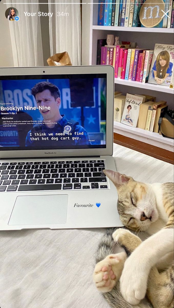 a cat laying on top of a bed next to an open laptop computer and bookshelf