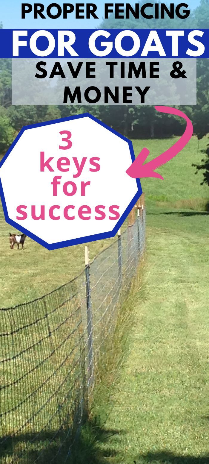 a sign that says 3 keys for success in front of a fence with cows behind it