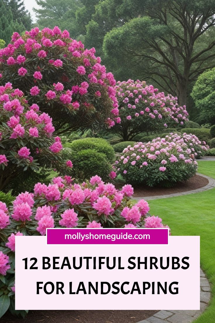 pink flowers in the middle of a garden with green grass and trees behind it, text overlay reads 12 beautiful shrubs for landscaping