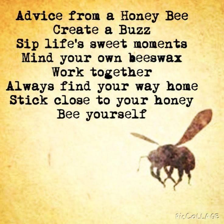 a poem written by a bee with the words advice from a honey bee