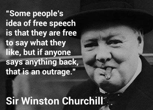 Indeed. Winston Churchill Quotes, Freedom Of Speech, Winston Churchill, Benjamin Franklin, Free Speech, Quotable Quotes, A Quote, Churchill, Famous Quotes