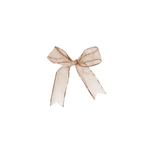 an image of a bow on a white background