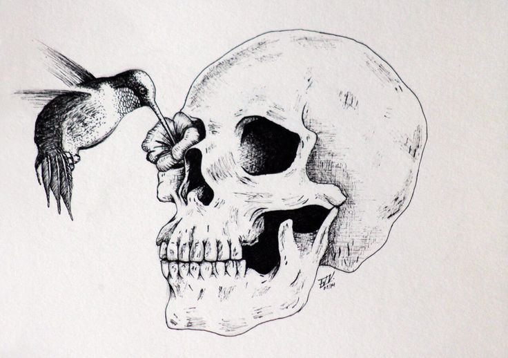 a drawing of a skull with a hummingbird on it's nose and a human skull in the foreground