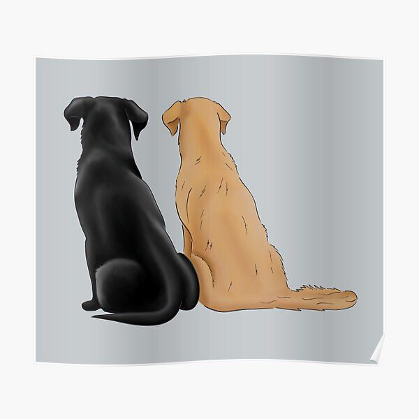 two dogs sitting next to each other in front of a gray background poster with the same dog