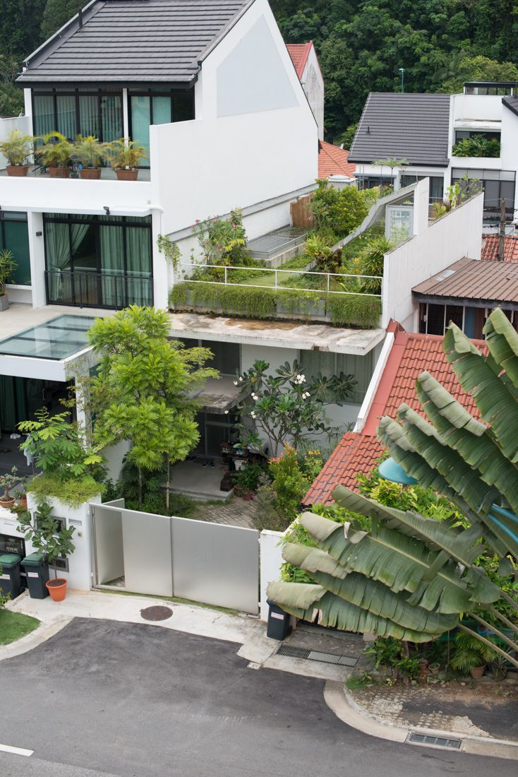 an aerial view of some houses with trees in the foreground and plants on the roof