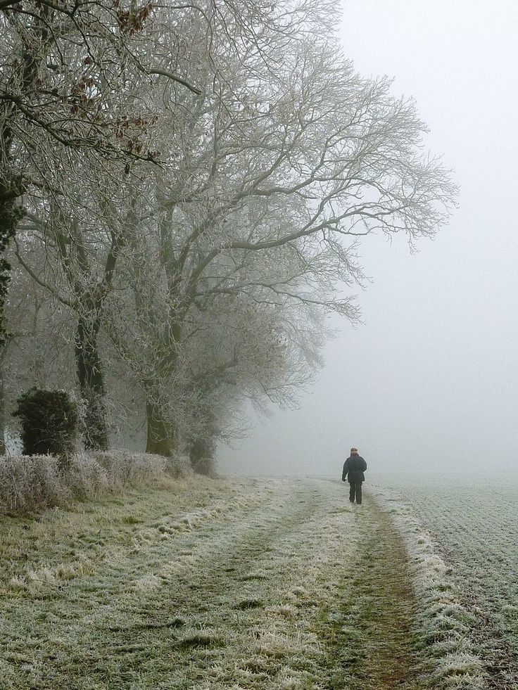 a person walking down a foggy road in the middle of winter with trees on either side