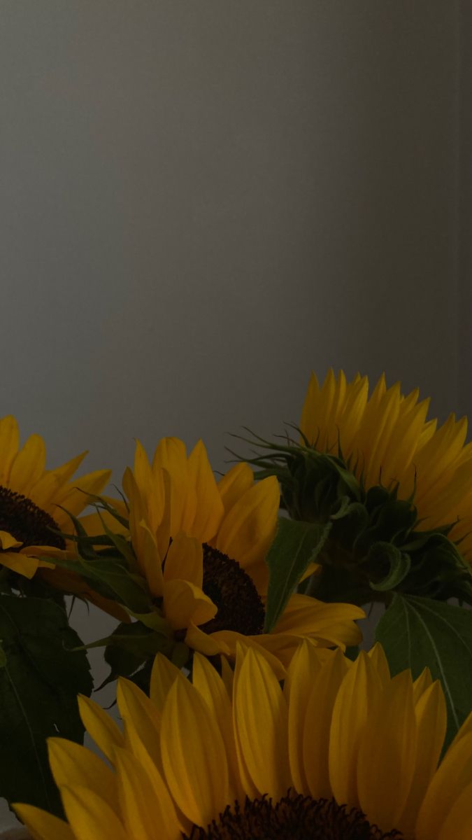 sunflowers in a vase on a table