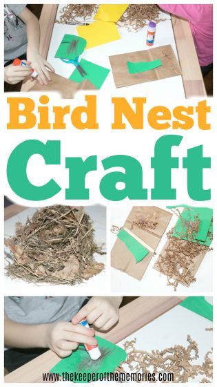 the birds nest craft is an easy and fun activity for kids to do with paper