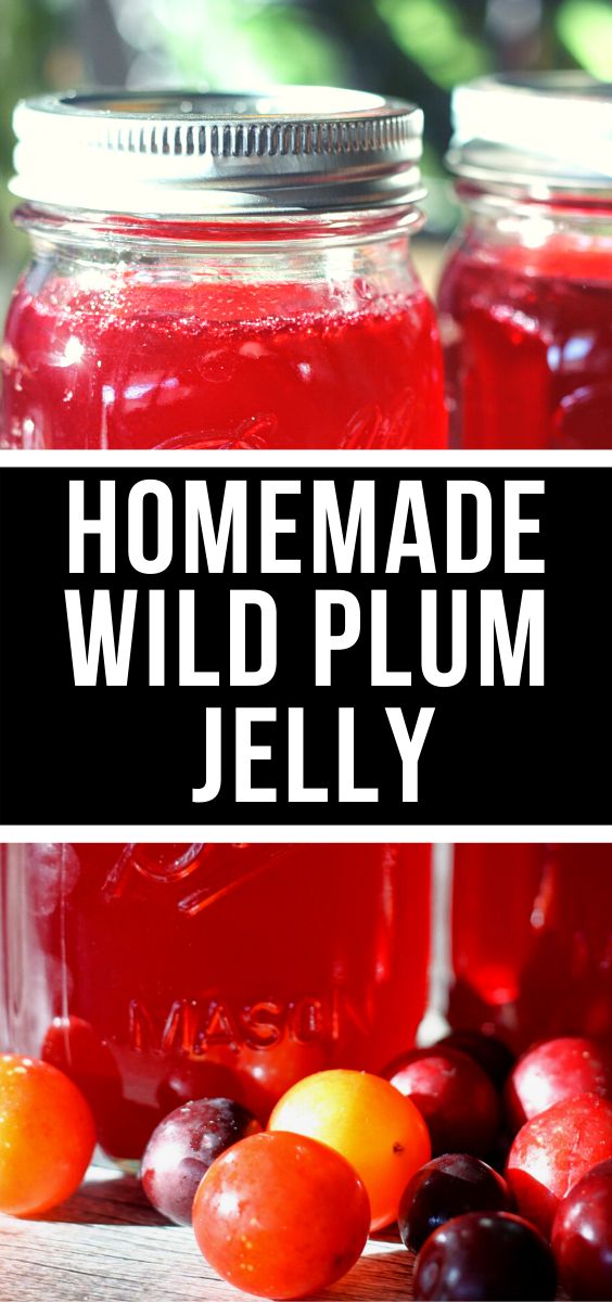 homemade wild plum jelly recipe in mason jars with cherries and oranges on the side