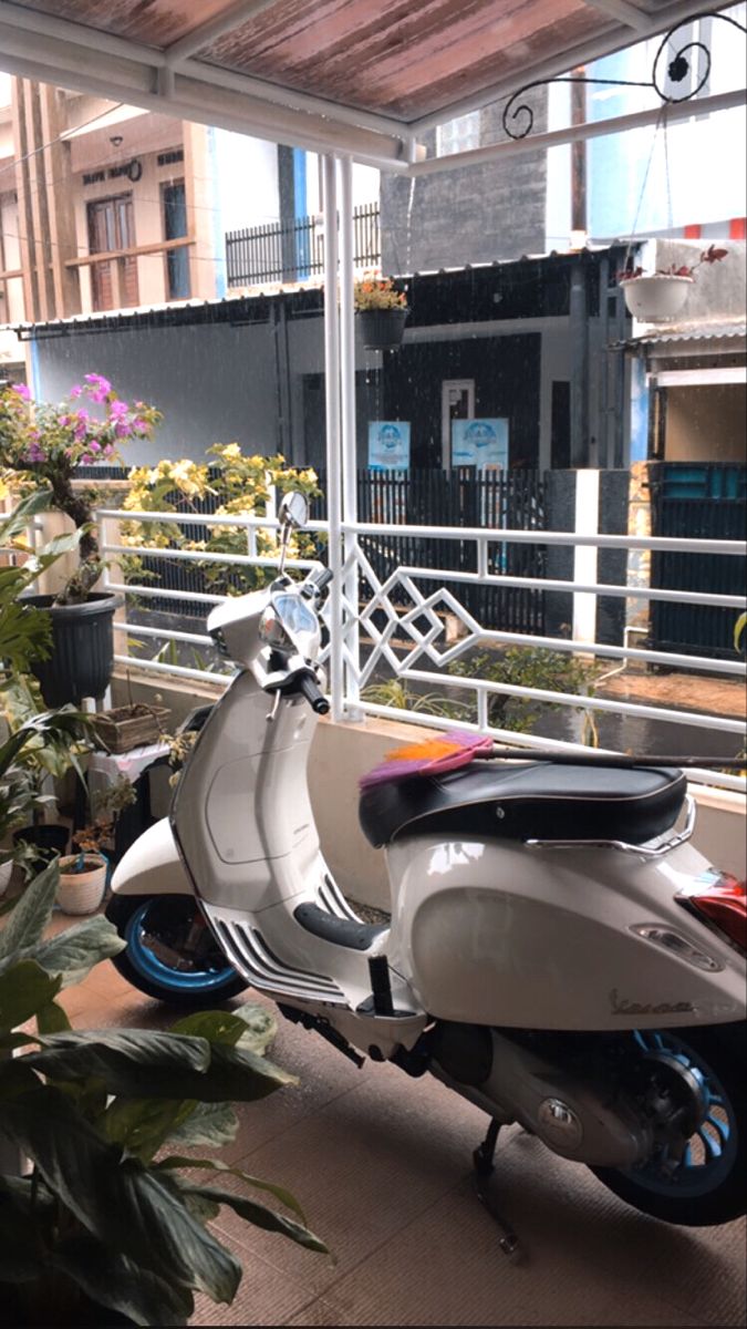 a motor scooter parked in front of a building with potted plants next to it