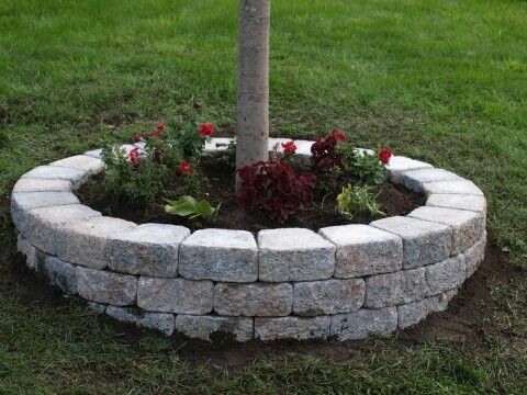 a tree is growing in the middle of a stone wall around a planter with red flowers