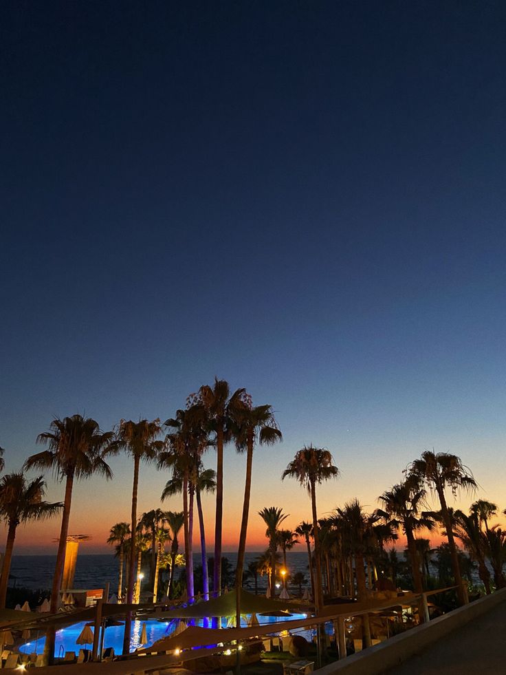 palm trees are lit up at night by the pool and beach side with lights on