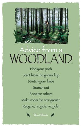 the cover of advice from a woodland