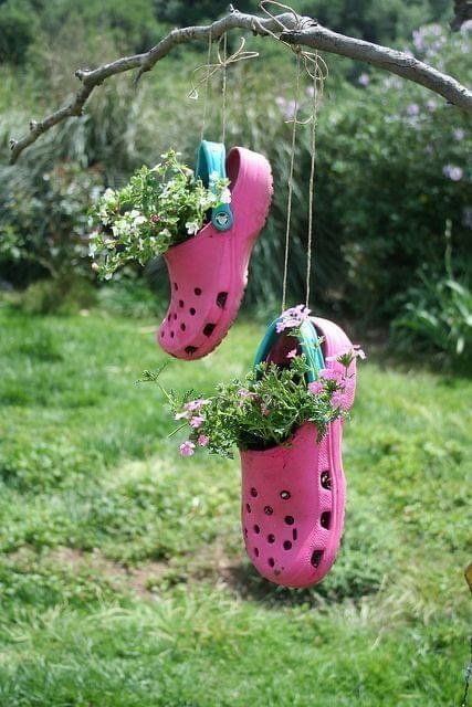 two pink shoes hanging from a tree branch with flowers in them and plants growing out of them